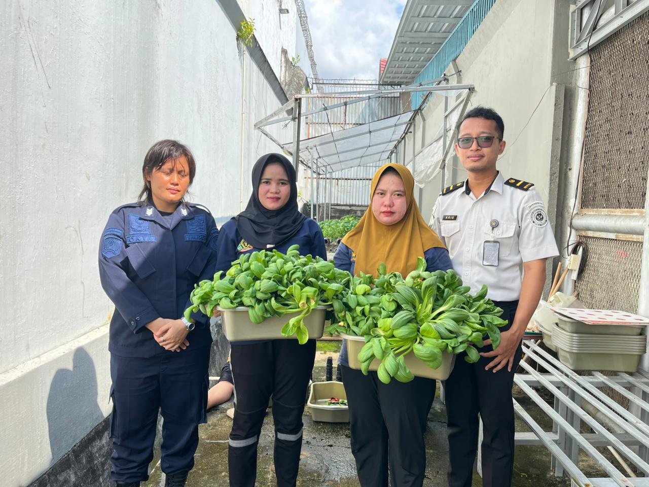 Panen Pakcoy Hidroponik, Lapas Perempuan Pangkalpinang Wujudkan Ketahanan Pangan Melalui Pembinaan Produktif Warga Binaan